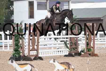 HER-1051