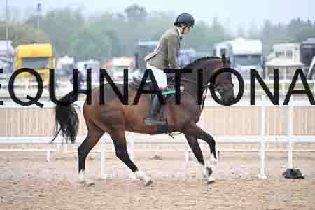 HER-1096