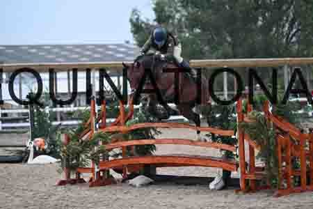 HER-1098