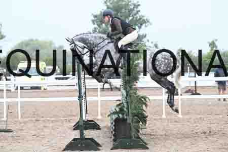 HER-1162