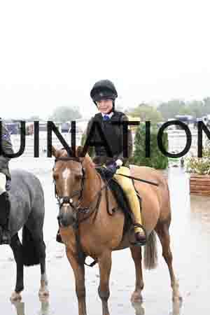 HER-1369