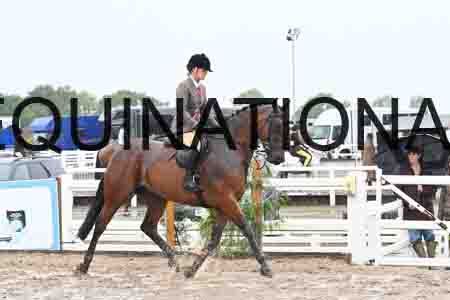 HER-1374
