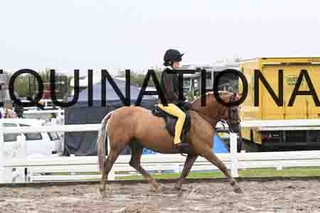 HER-1380