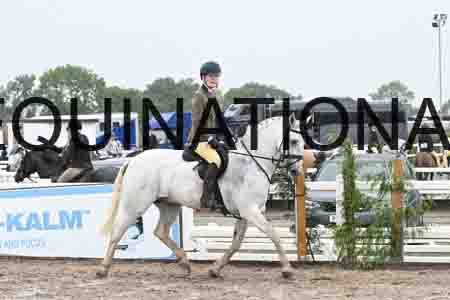 HER-1381