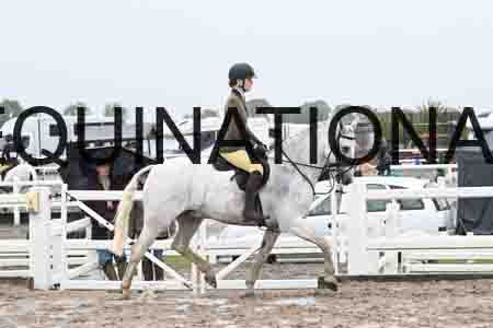 HER-1383