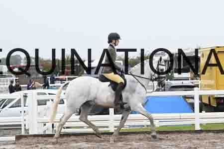 HER-1384