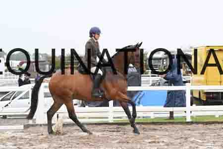 HER-1390