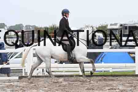 HER-1394