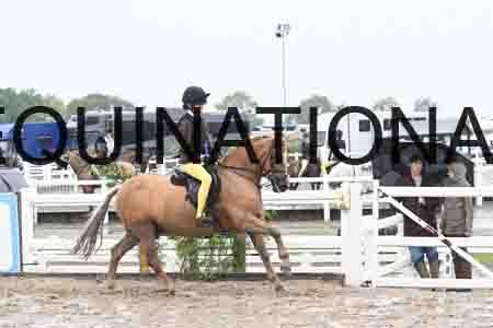 HER-1399