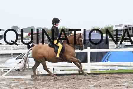 HER-1401