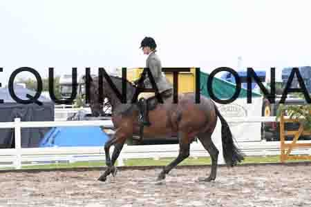 HER-1407