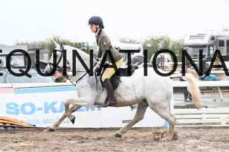 HER-1413