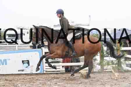 HER-1415