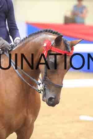 BSA-1118