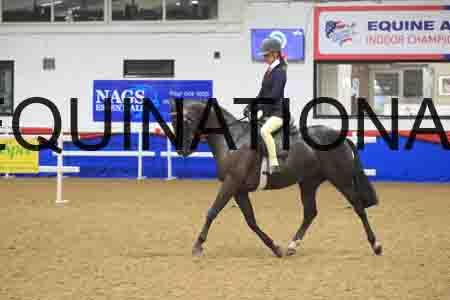 BSA-1380
