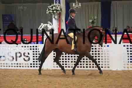 BSA-2171