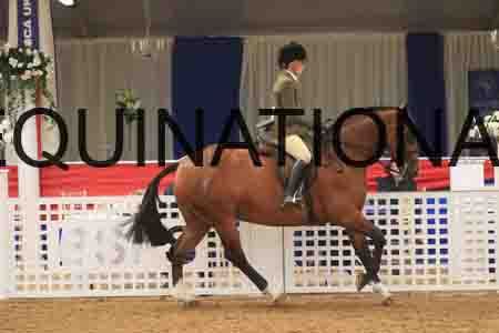 BSA-2630