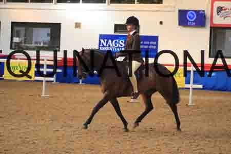 BSA-2891