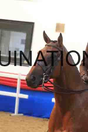 BSA-2924
