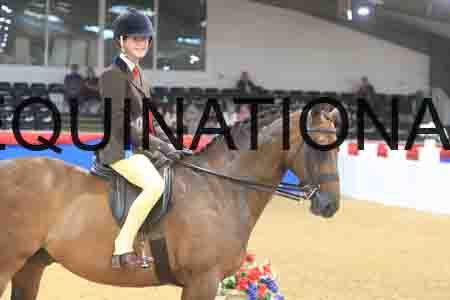 BSA-2936