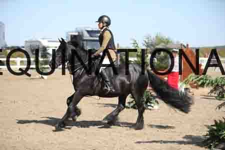 1_SEV-2362