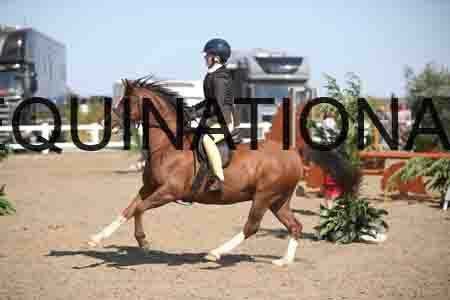 SEV-2376