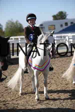 SEV-2543