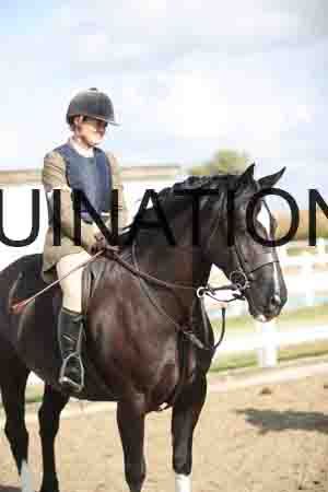 SEV-1376