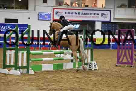 SPC-1169