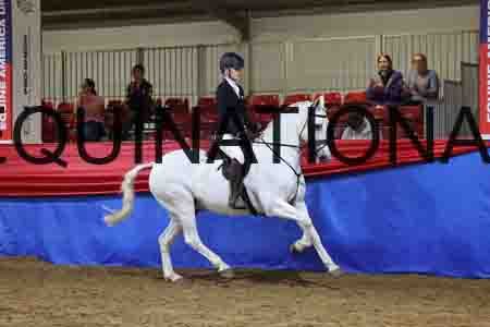 SPC-1688