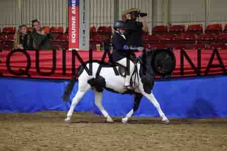 SPC-1951