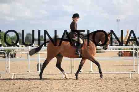 JKK-1300