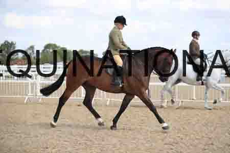 JKK-1704
