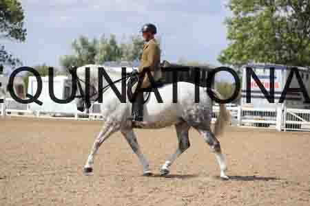 JKK-1983