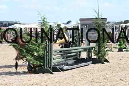 AHE-1285