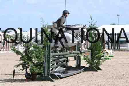 AHE-1471