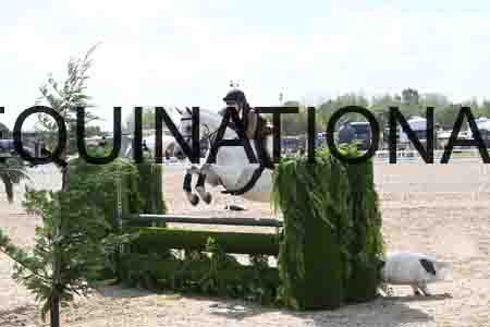 AHE-1510