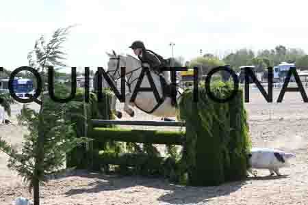 AHE-1736