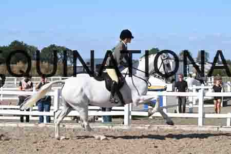 AHE-2015