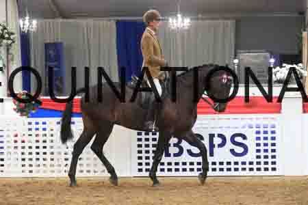 ARD-1217