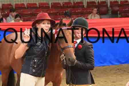 ARD-2099