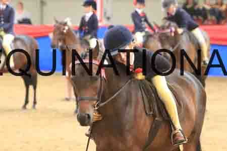ARD-2156