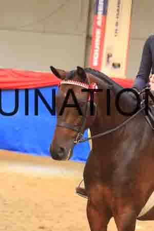 ARD-3055
