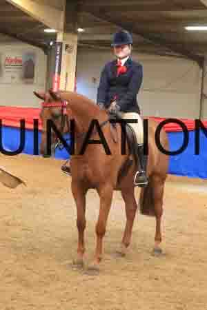 ARD-3057