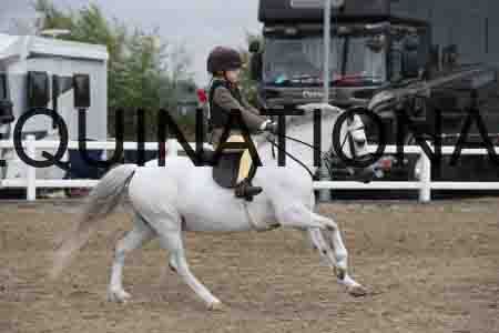 LIZ-1360