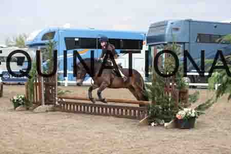LIZ-1363