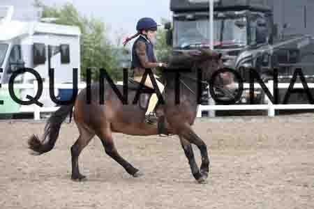 LIZ-1365