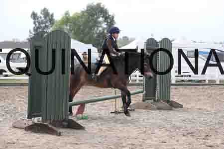 LIZ-1366