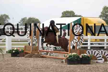 LIZ-1367