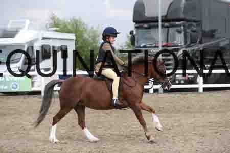 LIZ-1370